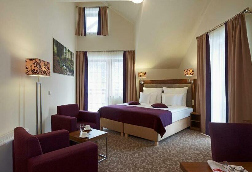 Номер Superior, Mercure Krynica Zdrój Resort&spa