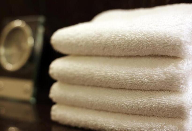 اتاق لوکس با تخت بزرگ, Shangrila Manzhouli