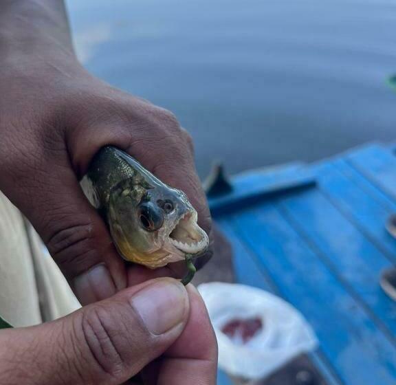 اتاق استاندارد سه نفره, Tambopata Edosikiana Lodge