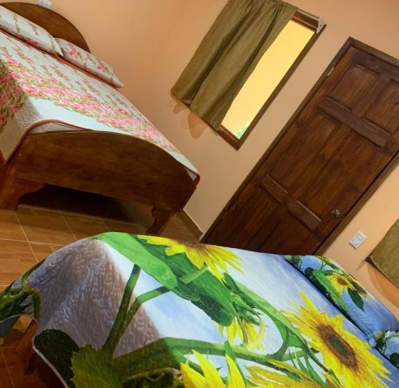 Четырехместный Номер Стандарт, Ceiba Lodge