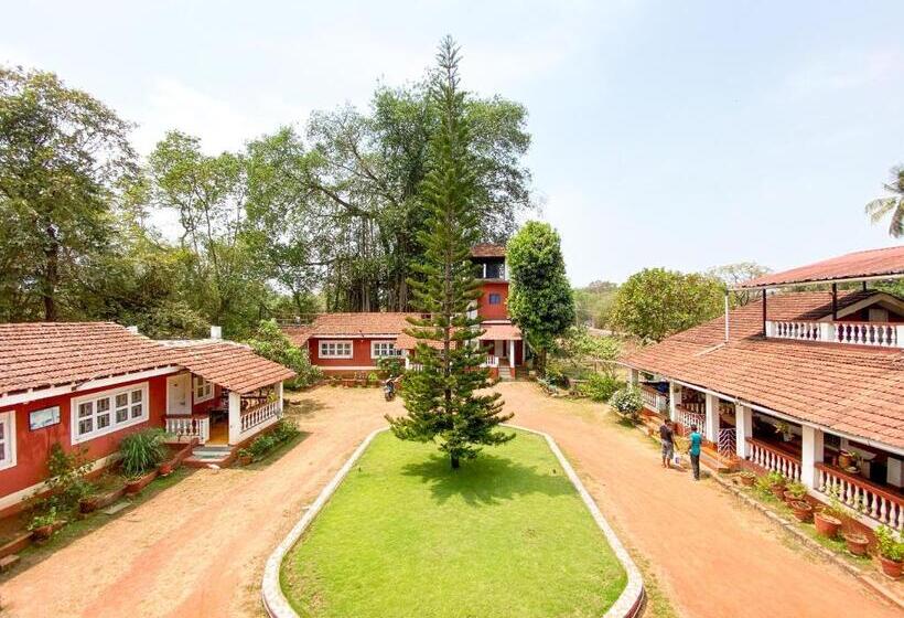 اتاق استاندارد اینتریور, Nomadgao Vila Nova   Comfort, Great Views, Fast Wifi & Interesting People