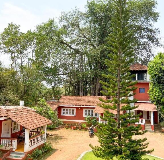 اتاق لوکس با بالکن, Nomadgao Vila Nova   Comfort, Great Views, Fast Wifi & Interesting People