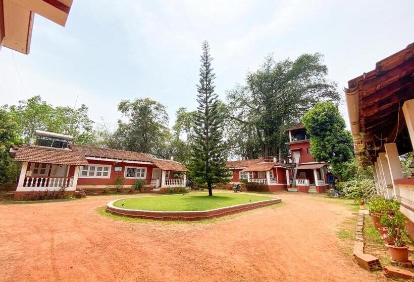 اتاق استاندارد اینتریور, Nomadgao Vila Nova   Comfort, Great Views, Fast Wifi & Interesting People