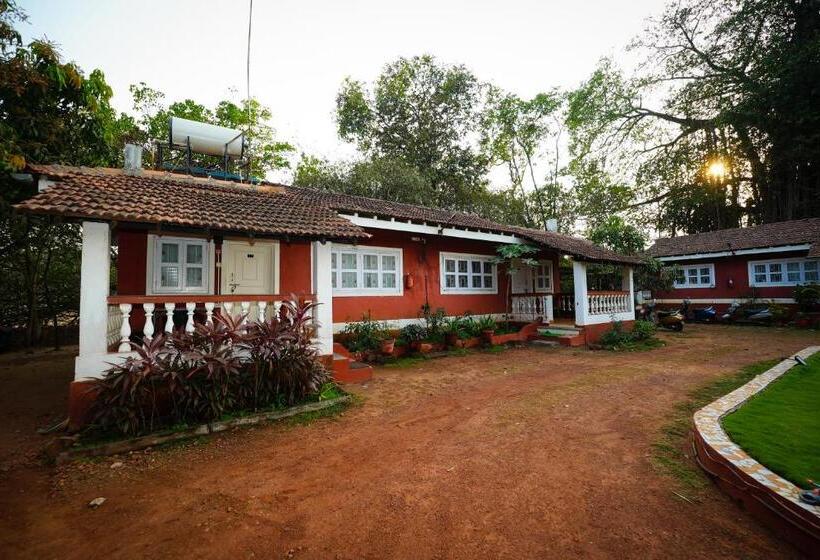 اتاق استاندارد اینتریور, Nomadgao Vila Nova   Comfort, Great Views, Fast Wifi & Interesting People