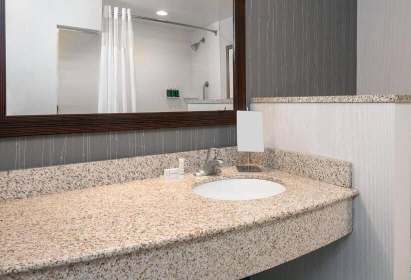 اتاق استاندارد برای معلولان, Courtyard By Marriott Buffalo Airport