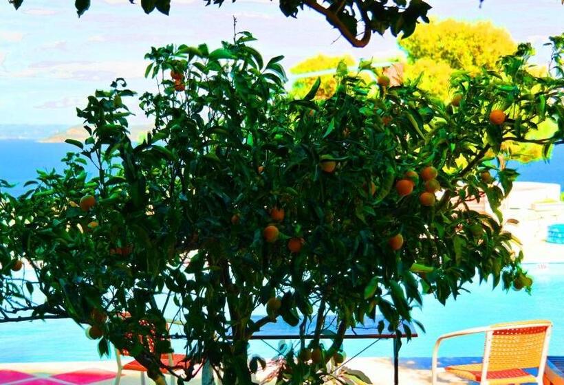 ویلای یک اتاق خوابه با استخر شنا, Villa Agnanti Boutique