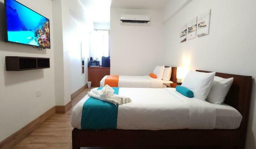 اتاق لوکس, Voyager Sun & Reef