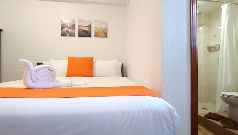 اتاق لوکس با تخت بزرگ, Voyager Sun & Reef