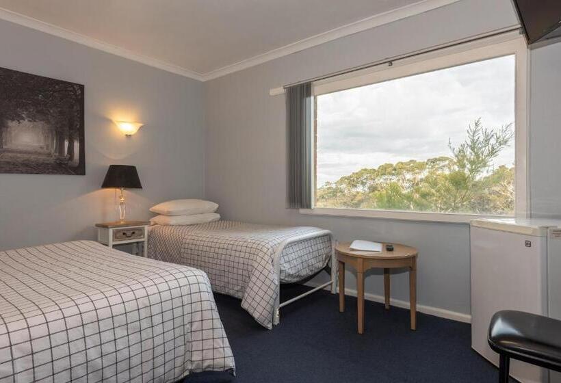 Семейный Номер Базовый, Blue Mountains Highway Motel