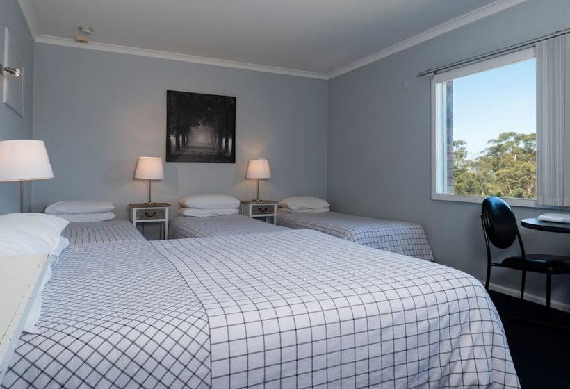 Номер Стандарт, Blue Mountains Highway Motel