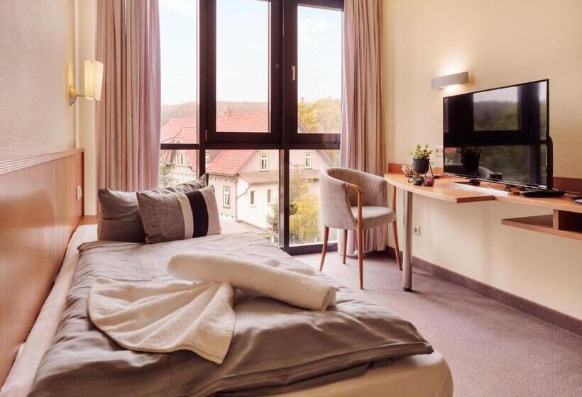 Номер Стандарт Индивидуальный, Regiohotel Am Brocken Schierke