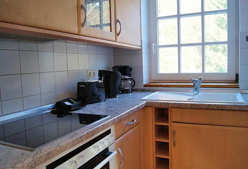 Апартаменты 1 Спальня, Regiohotel Am Brocken Schierke