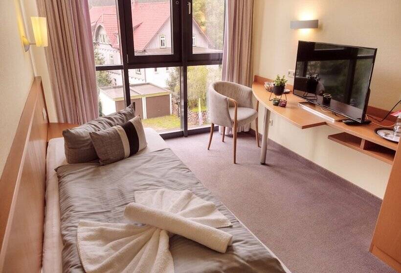Номер Стандарт Индивидуальный, Regiohotel Am Brocken Schierke