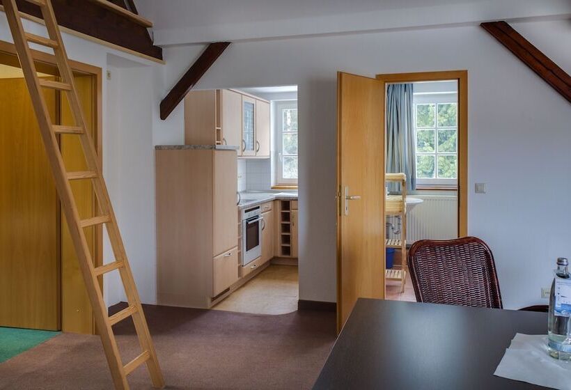 Апартаменты 1 Спальня, Regiohotel Am Brocken Schierke