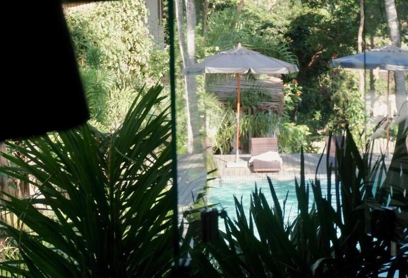 豪华洋房, Soleluna Casa Pousada