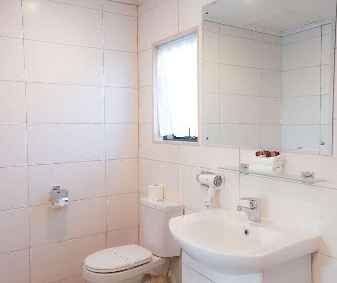 Номер Стандарт, Airport Manor Inn