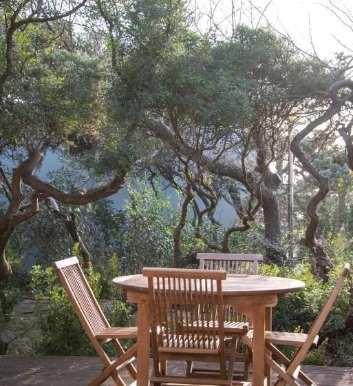 سوییت لوکس, Mariva Dune Suites