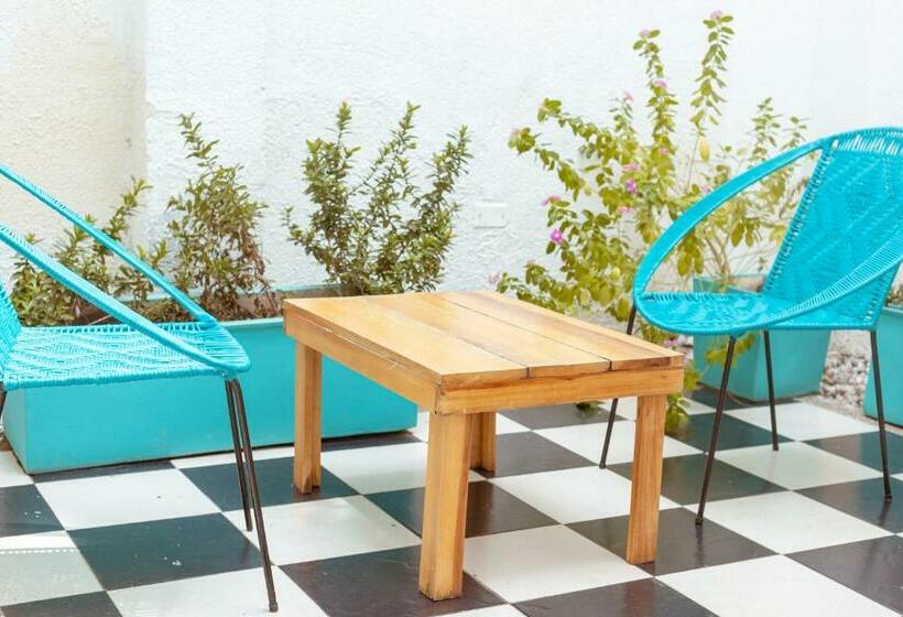 اتاق استاندارد با تراس, Puerta Aqua By La Puerta Hostels