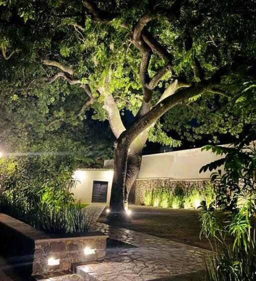 豪华房间, Tatala Hotel & Garden