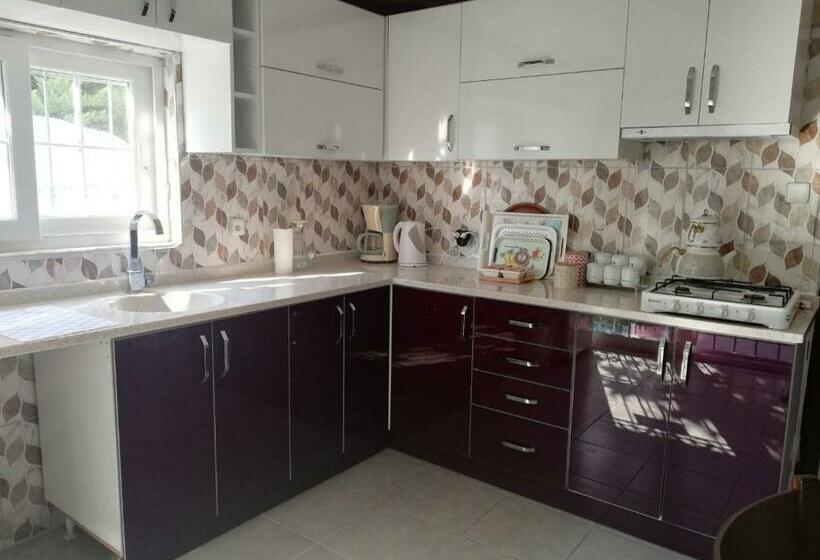 اتاق استاندارد با سرویس بهداشتی مشترک, İde Beach Home