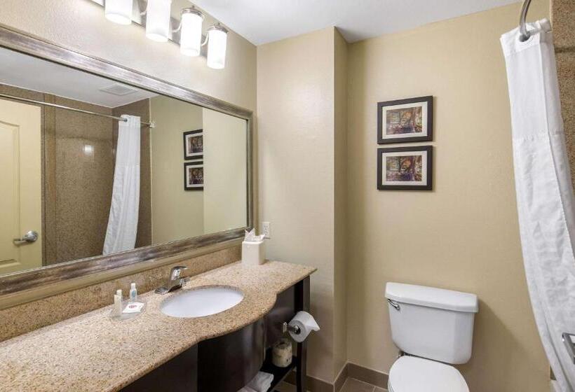 Стандартный Номер Кровать Кинг, Comfort Inn & Suites Cedar Hill Duncanville