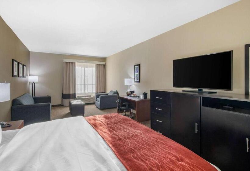 Люкс Кровать Кинг, Comfort Inn & Suites Cedar Hill Duncanville