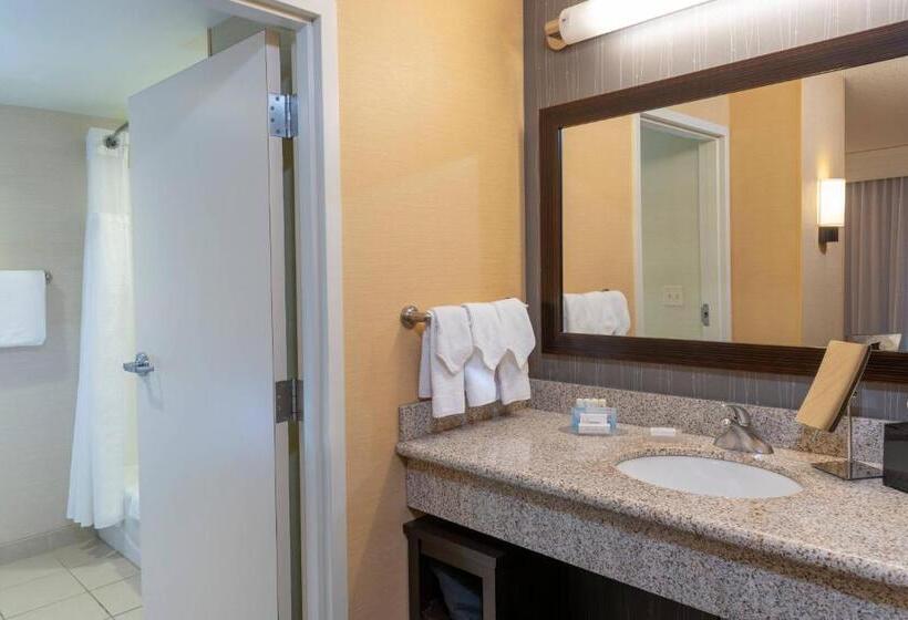 Стандартный Номер Кровать Кинг, Courtyard Milwaukee Airport