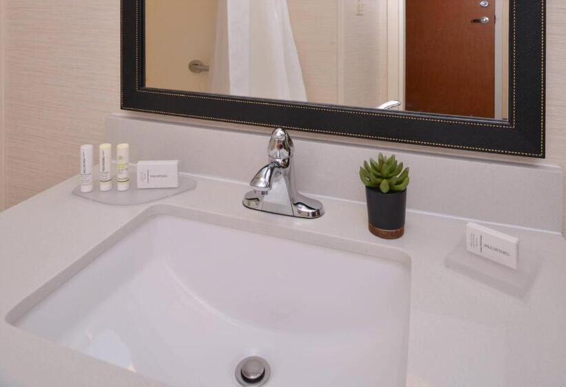 Студио Стандарт Кровать Кинг, Fairfield Inn & Suites By Marriott Anderson Clemson
