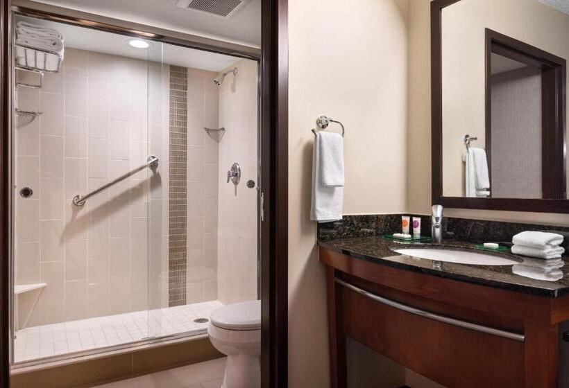 带2个双人床的标准工作室, Hyatt Place Denver Tech Center