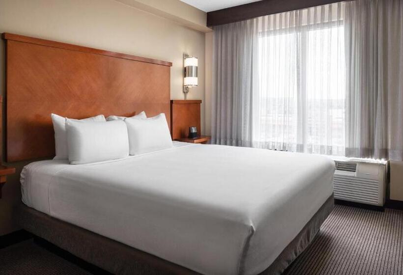 适合残疾人士使用的带超级大床的标准间, Hyatt Place Denver Tech Center