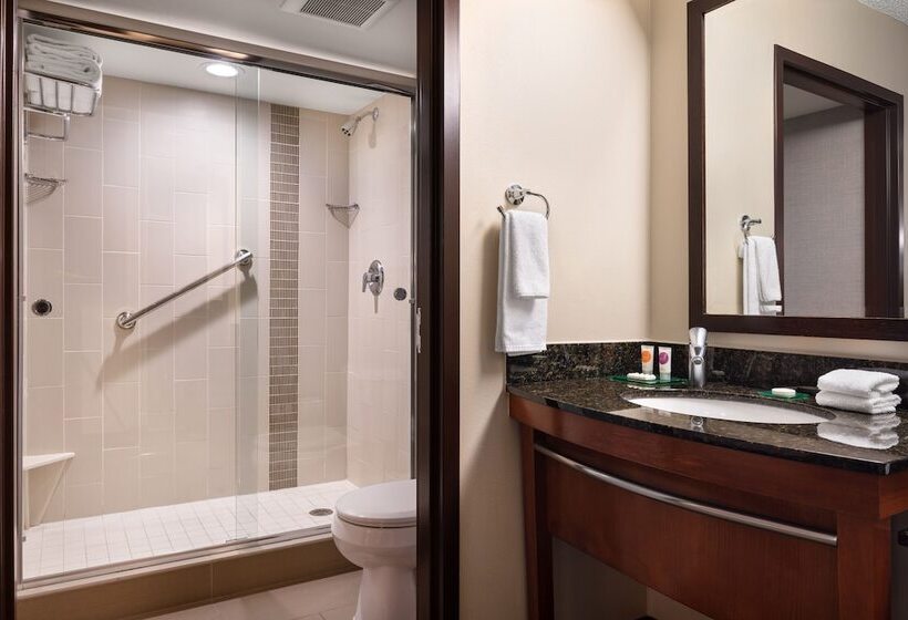 带2个双人床的标准工作室, Hyatt Place Denver Tech Center