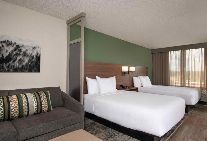 高级寓所标准房间, Hyatt Place Denver Tech Center