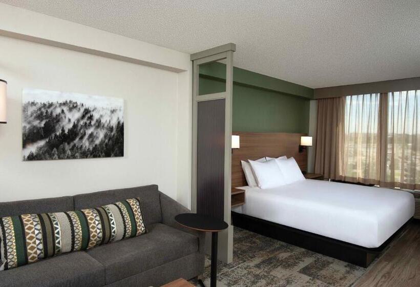 חדר סטנדרט עם מיטת קינג, Hyatt Place Denver Tech Center