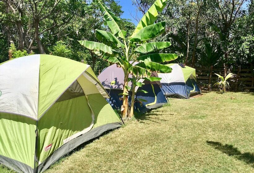 Comfort Tent, Camp Utila Village   Hostel