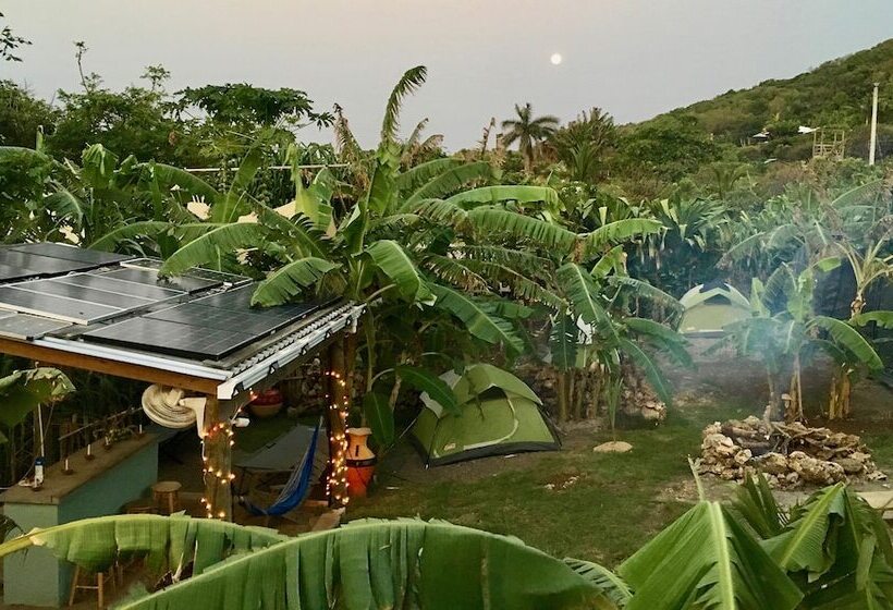 Comfort Tent, Camp Utila Village   Hostel