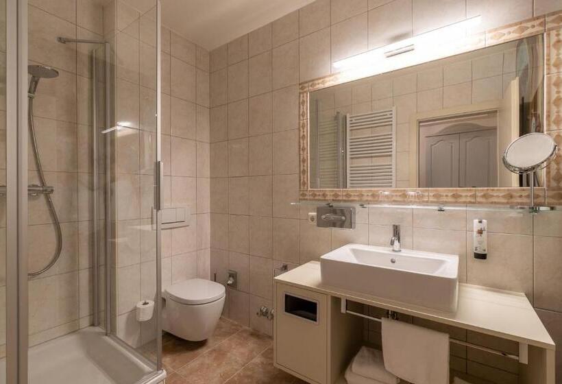 Полулюкс, Amedia Plaza Wels, Trademark Collection By Wyndham