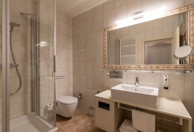 Номер Комфорт Индивидуальный, Amedia Plaza Wels, Trademark Collection By Wyndham