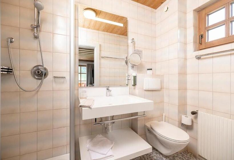 Номер Комфорт Индивидуальный, Kinder  & Gletscherhotel Hintertuxerhof