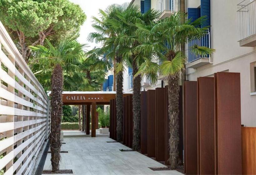 Апартаменты с 1 спальней, смежные, Gallia & Resort