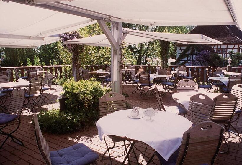 Номер Стандарт, Pilgerhof Und Rebmannshof
