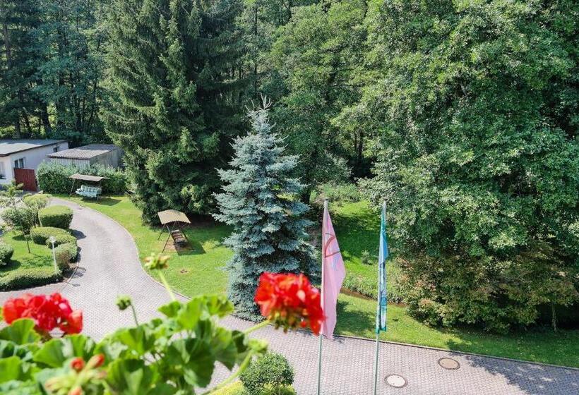 Номер Стандарт, Vogtland