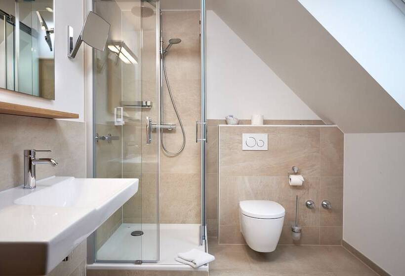 Номер Deluxe Одноместный, Flair Hotel Schwanen
