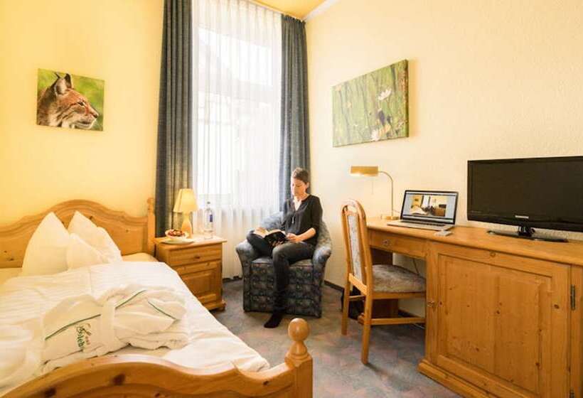 Номер Стандарт Индивидуальный, Solehotel Winterberg