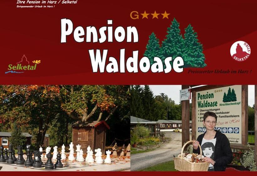 4인용 스탠다드 룸, Waldoase Hirschbüchenkopf