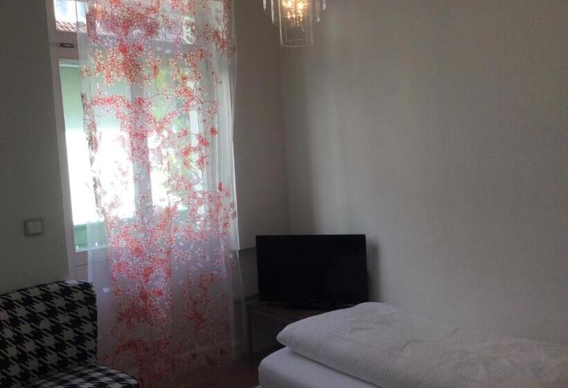 Номер Стандарт Индивидуальный, Heidelberg Astoria