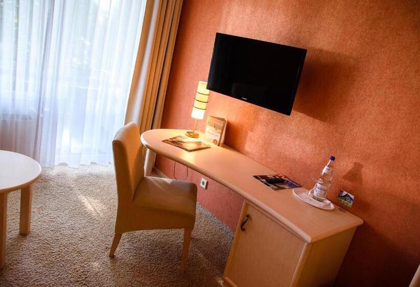 Номер Стандарт Индивидуальный, Landhotel Henkenhof Willingen