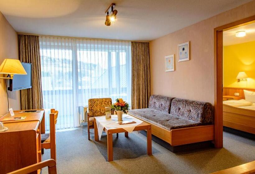 Четырехместный Номер Стандарт, Landhotel Henkenhof Willingen