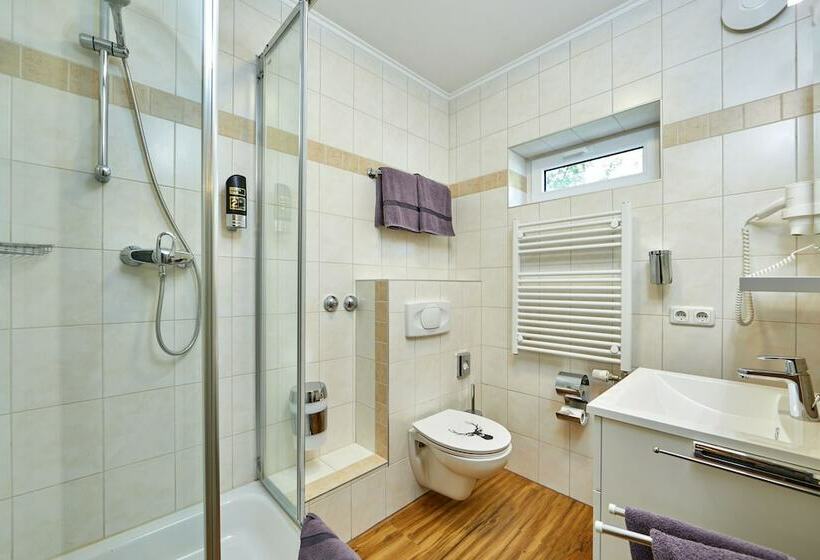 Студия Стандарт, Buchenhof Alpine Apartments