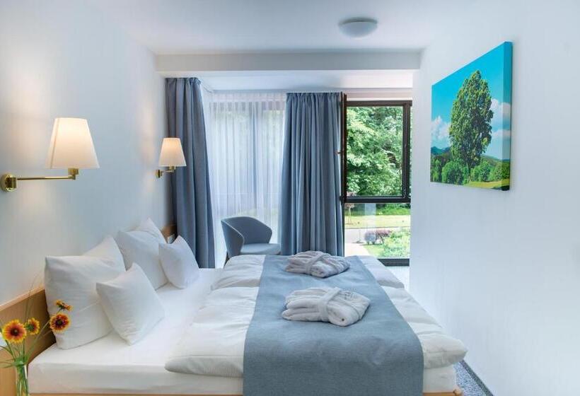 Стандартный Номер Кровать Кинг, Aktivhotel Inselsberg