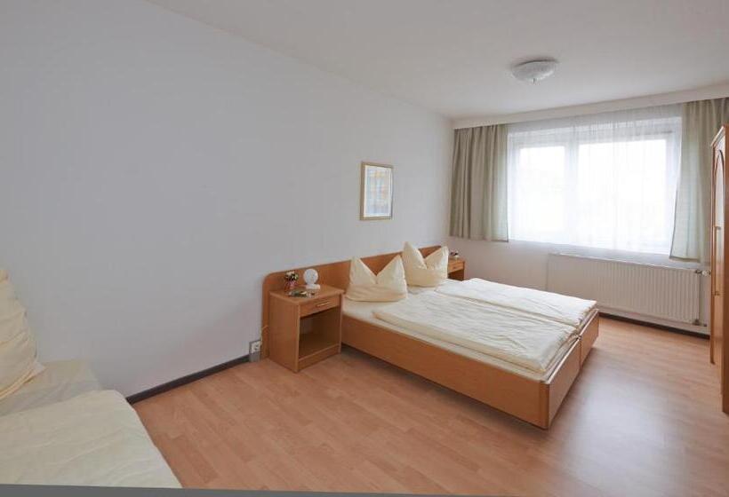 Апартаменты 2 Спальни, Alpha Apparthotel Leipzig Rötha